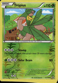 Tropius 12/108 Uncommon Roaring Skies Pokemon Reverse Holo Lightly Played