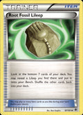 Root Fossil Lileep 87/101 Uncommon Plasma Blast Pokemon Lightly Played