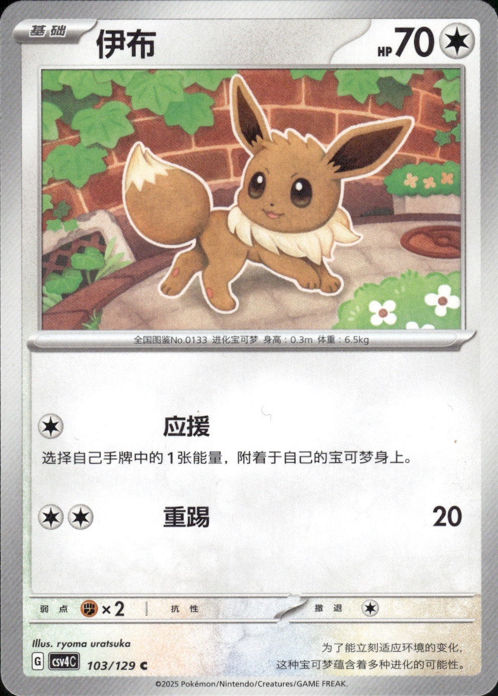 Eevee 103/129 Bonus Round Pokemon Chinese Near Mint