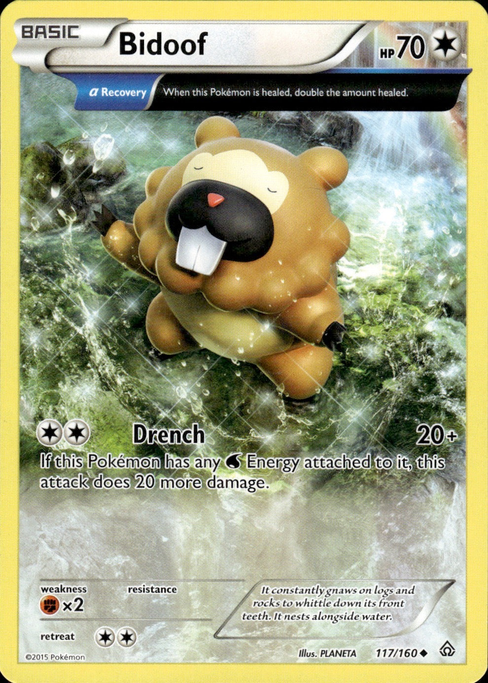 Bidoof 117/160 Uncommon Primal Clash Pokemon Lightly Played