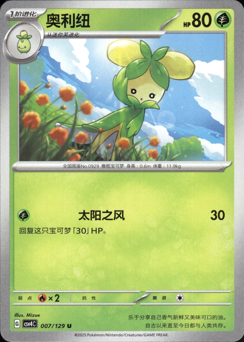 Dolliv 007/129 Bonus Round Pokemon Chinese Near Mint