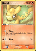 Numel 72/110 Common Holon Phantoms Pokemon Lightly Played