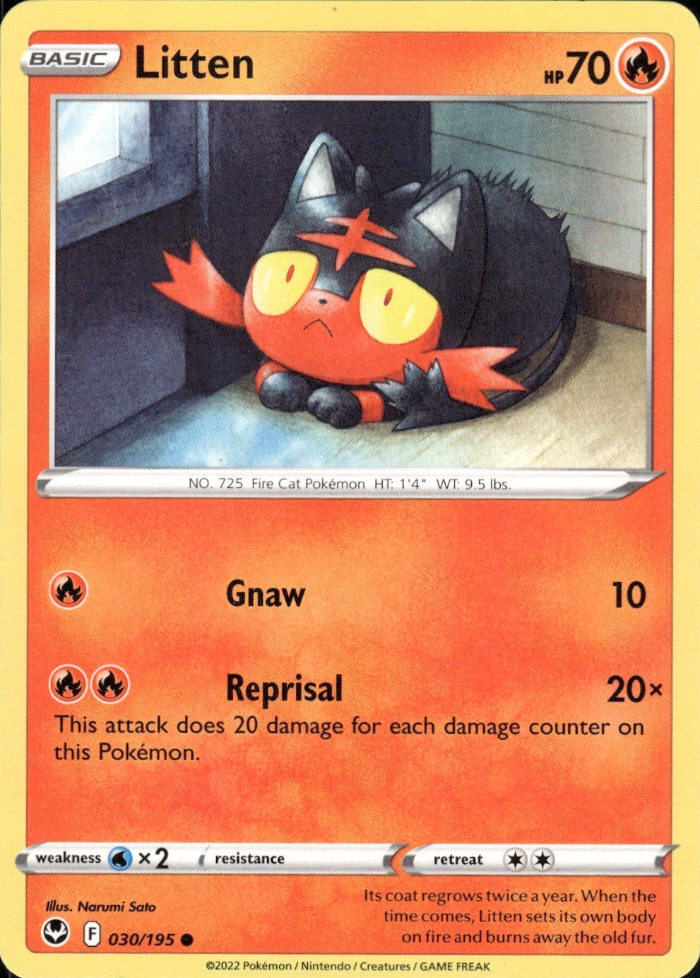 Litten 030/195 Common Silver Tempest Pokemon Lightly Played