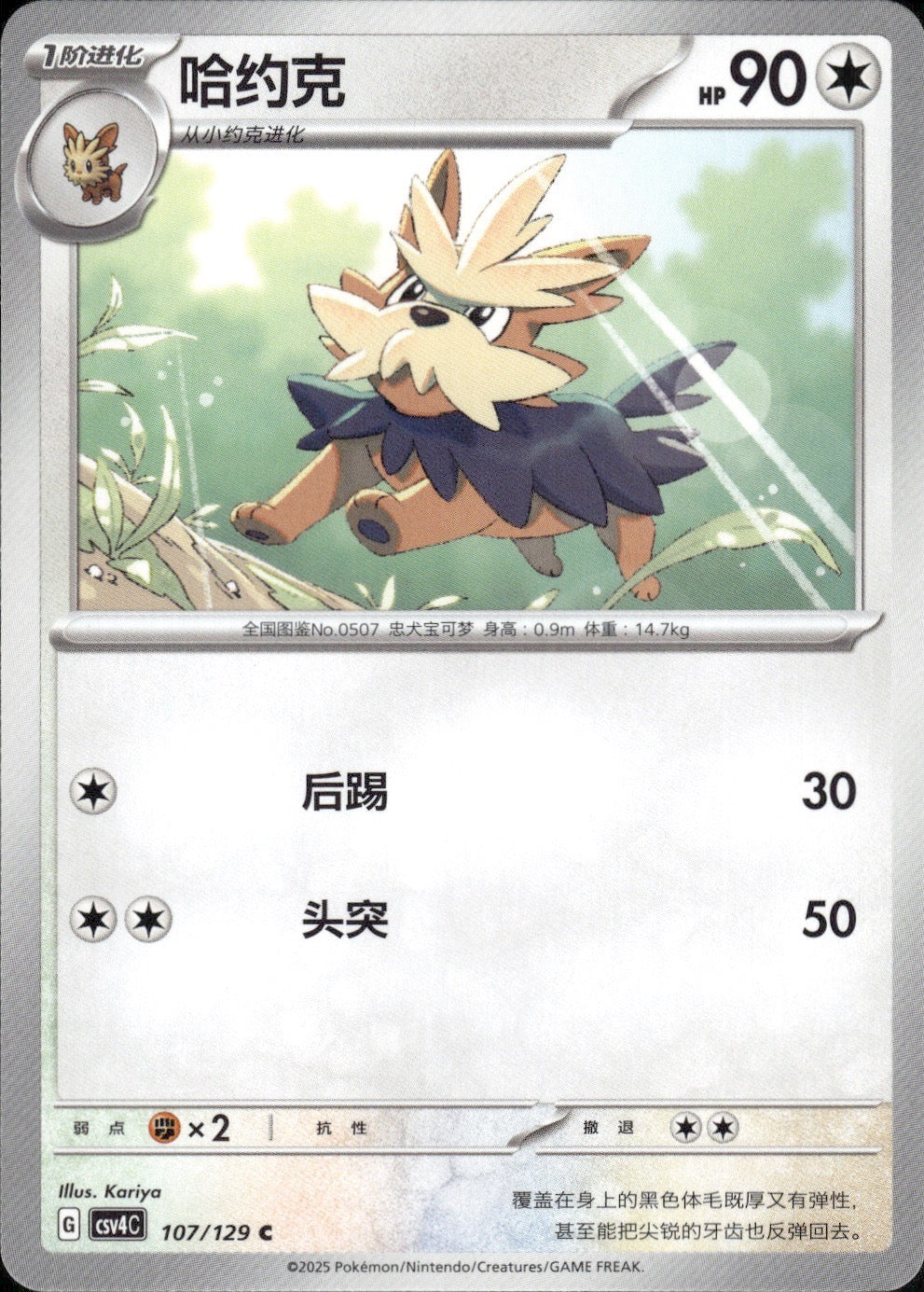 Herdier 107/129 Bonus Round Pokemon Chinese Near Mint
