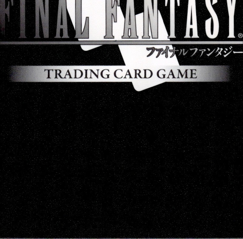 Dion 29-106H Hero Blissful Eternity Final Fantasy Near Mint
