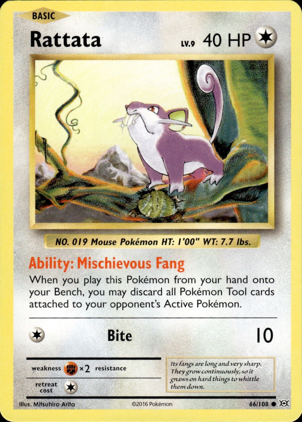 Rattata 66/108 Common Evolutions Pokemon Lightly Played