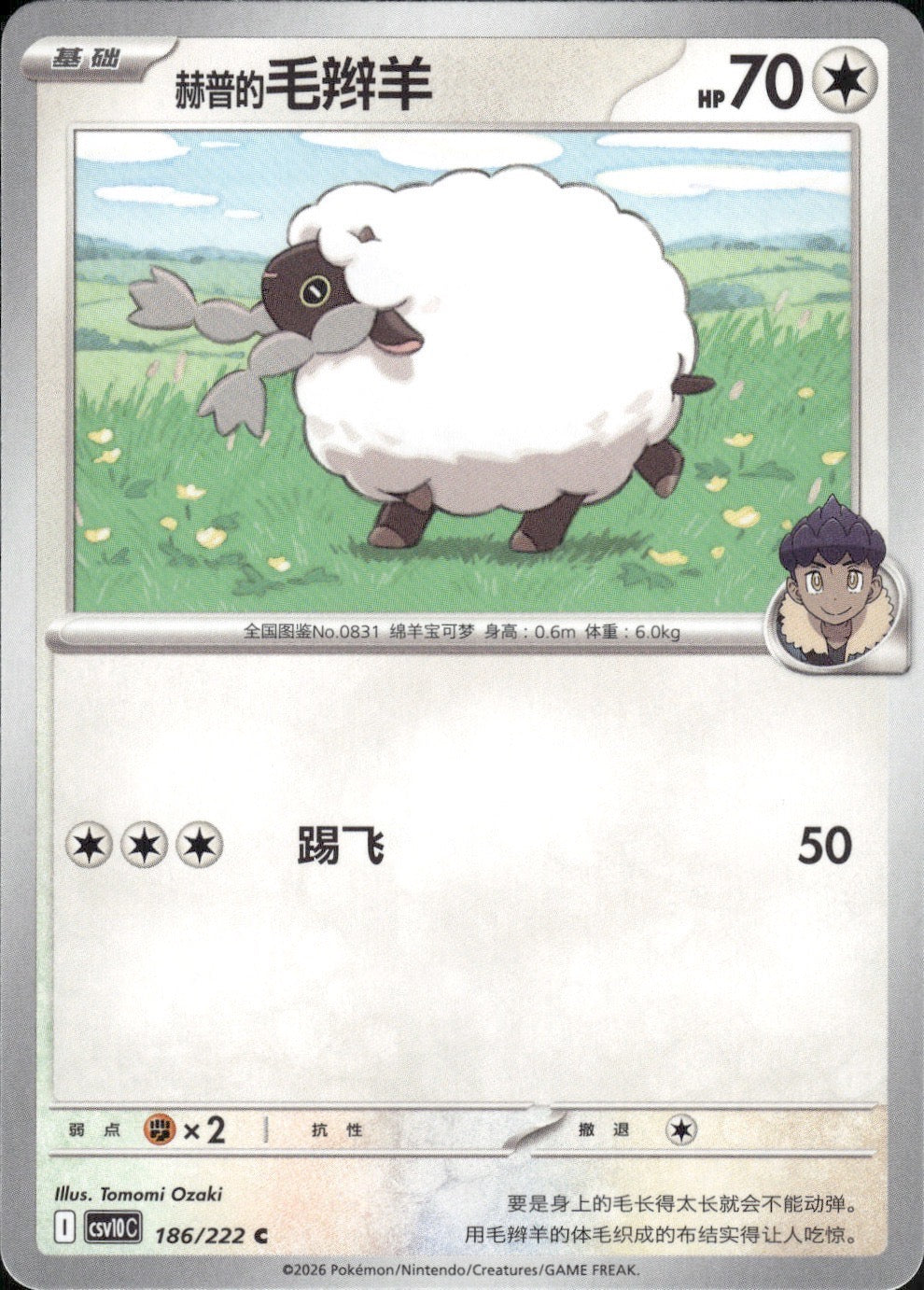 Hop's Wooloo 186 C Chasing Glory Together Pokemon Chinese Near Mint